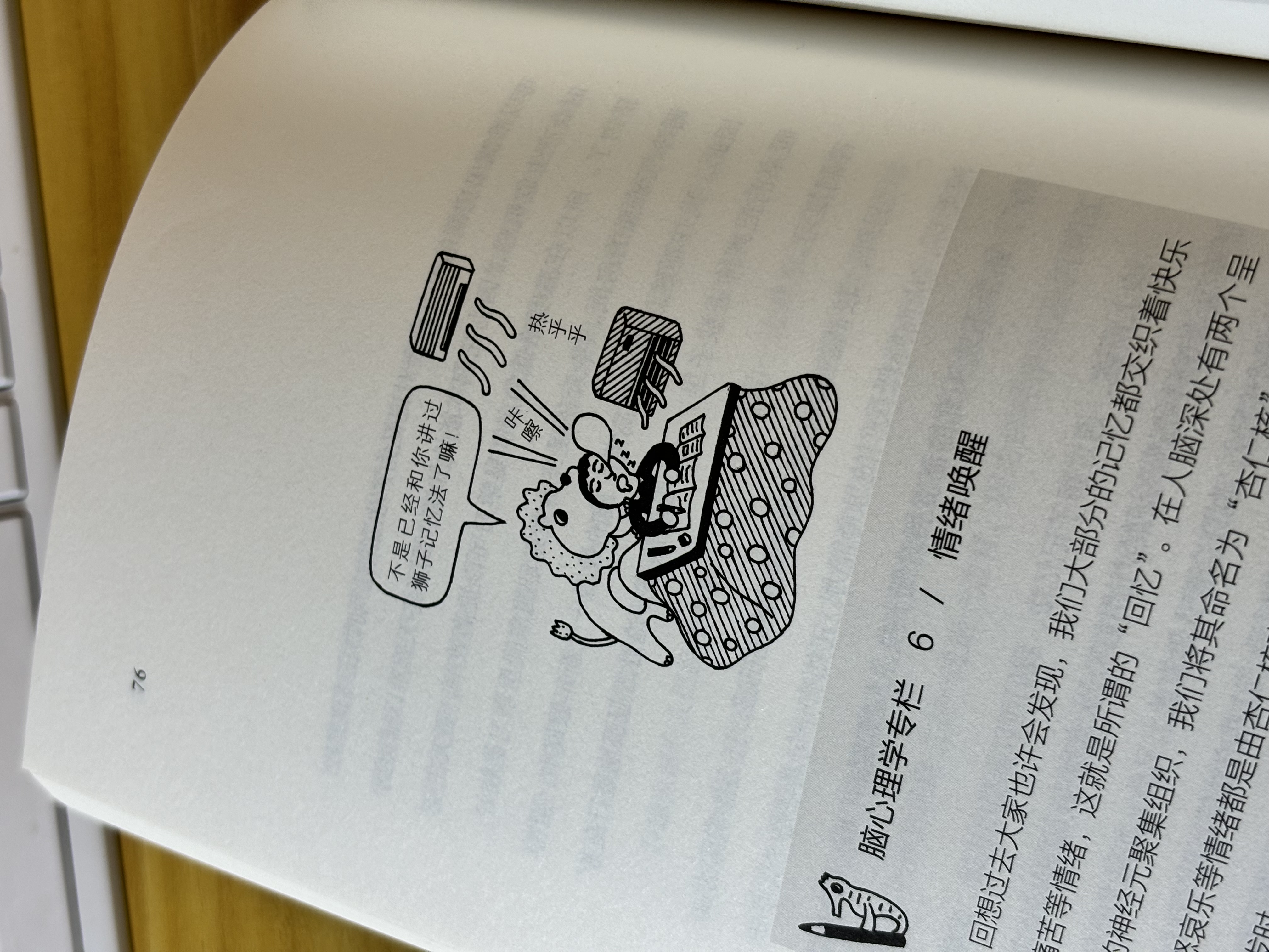 lion memory method